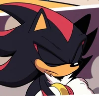 Shadow The Hedgehog 
