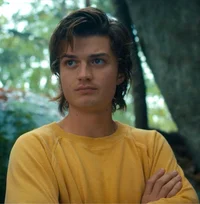 steve harrington 