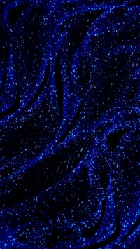 professeur de frança