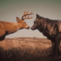 Red dead animals