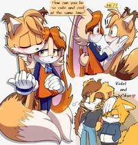 TailReam Family