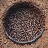 pit of worms