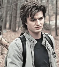Steve Harrington