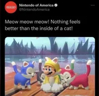 Catboy Cognitohazard