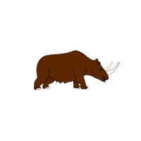 AU-Woolly Rhino