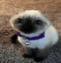 123