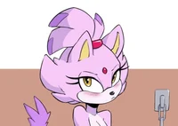 Blaze the catpetplay