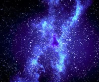 STARDUST 