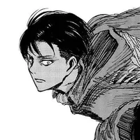 levi ackerman 