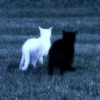 Лия Уотхерс