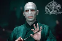 Volde mort