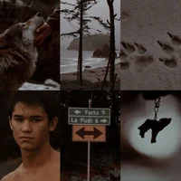 Seth Clearwater