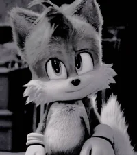 TAILS THE FOX