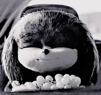 KNUCKLES THE ECHINDA