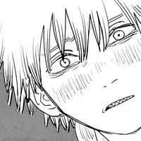 CSM Denji