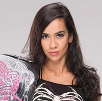 AJ Lee - 2014
