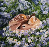 Fawn