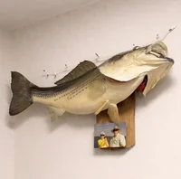 Mounted Falling Fish