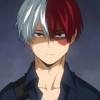Shoto todoroki 
