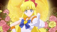 Sailor Venus