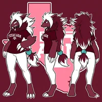 Aggies Zoroark