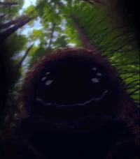 Lenny - The Obsessed