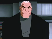 DCAU Old Bruce