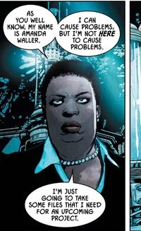 Amanda Waller