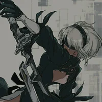 2B-Nier