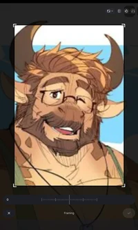 Dan - MLM - Bull