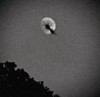 The Moon virus