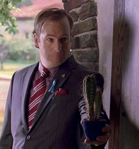 BB - Saul Goodman