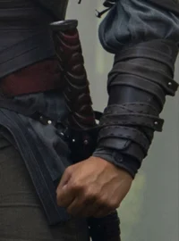 Elias Veturius