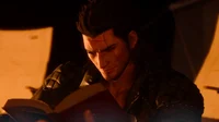 Gladiolus Amicitia