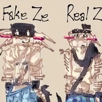 Ze and fake Ze