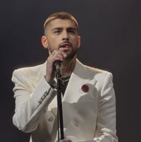 Zayn Malik - 2025