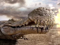 Sarcosuchus