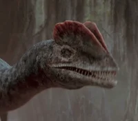 Dilophosaurus
