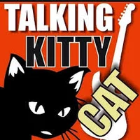 Talking kitty cat
