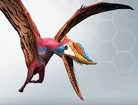 Dsungaripterus