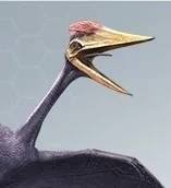 Zhejiangopterus