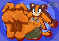 Sticks feet