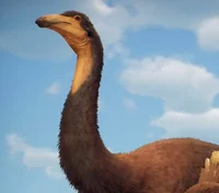 Gallimimus