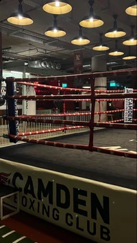 Boxeo escolar