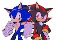 Sonic and Shadow