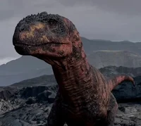 Rajasaurus