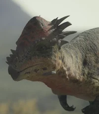 Pachycephalosaurus