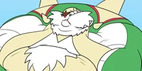 Pokemon Heights