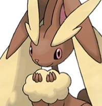 -428- Lopunny 