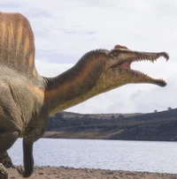 Spinosaurus